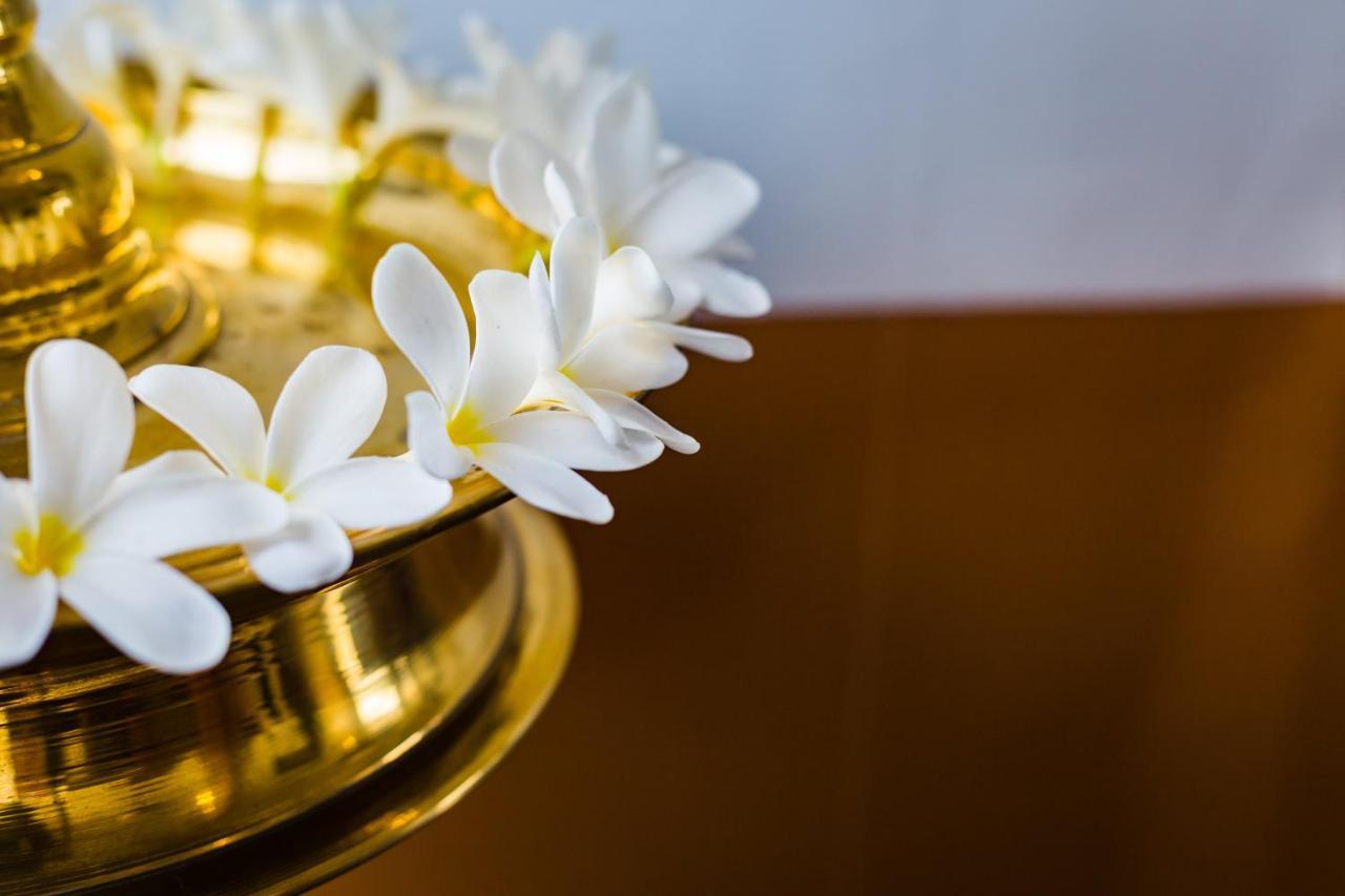 Mekosha Ayurveda Spa Suites Retreat & Resort Attingal Eksteriør billede
