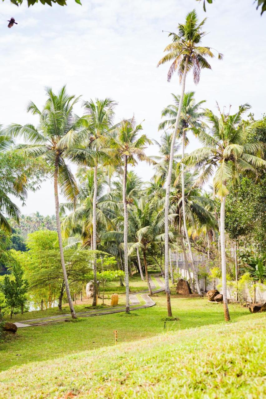 Mekosha Ayurveda Spa Suites Retreat & Resort Attingal Eksteriør billede